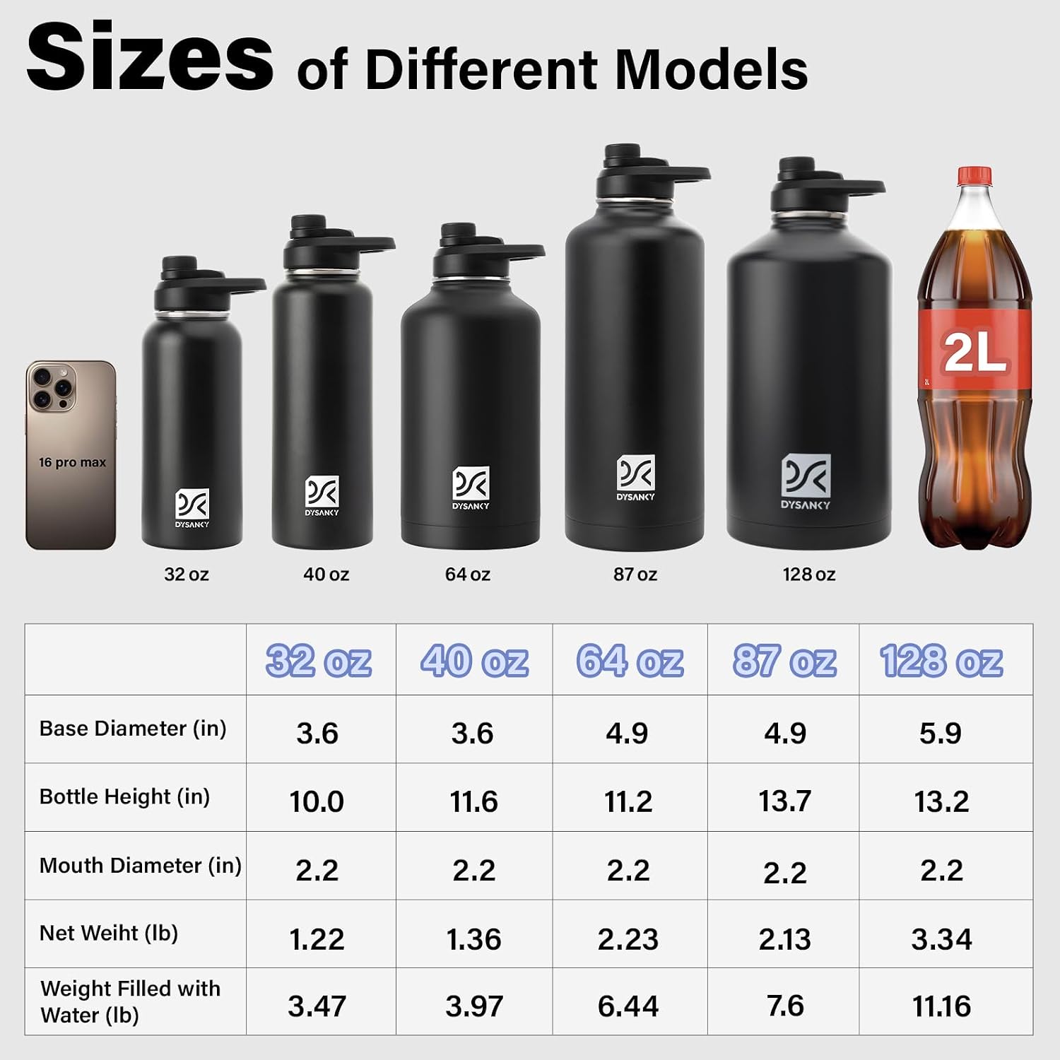 DYSANKY Insulated Water Bottle with Straw Lid & Carrier Bag, 64oz